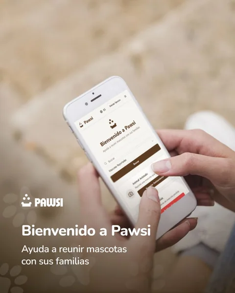 Pieza de lanzamiento de Pawsi: la aplicación abierta en un teléfono